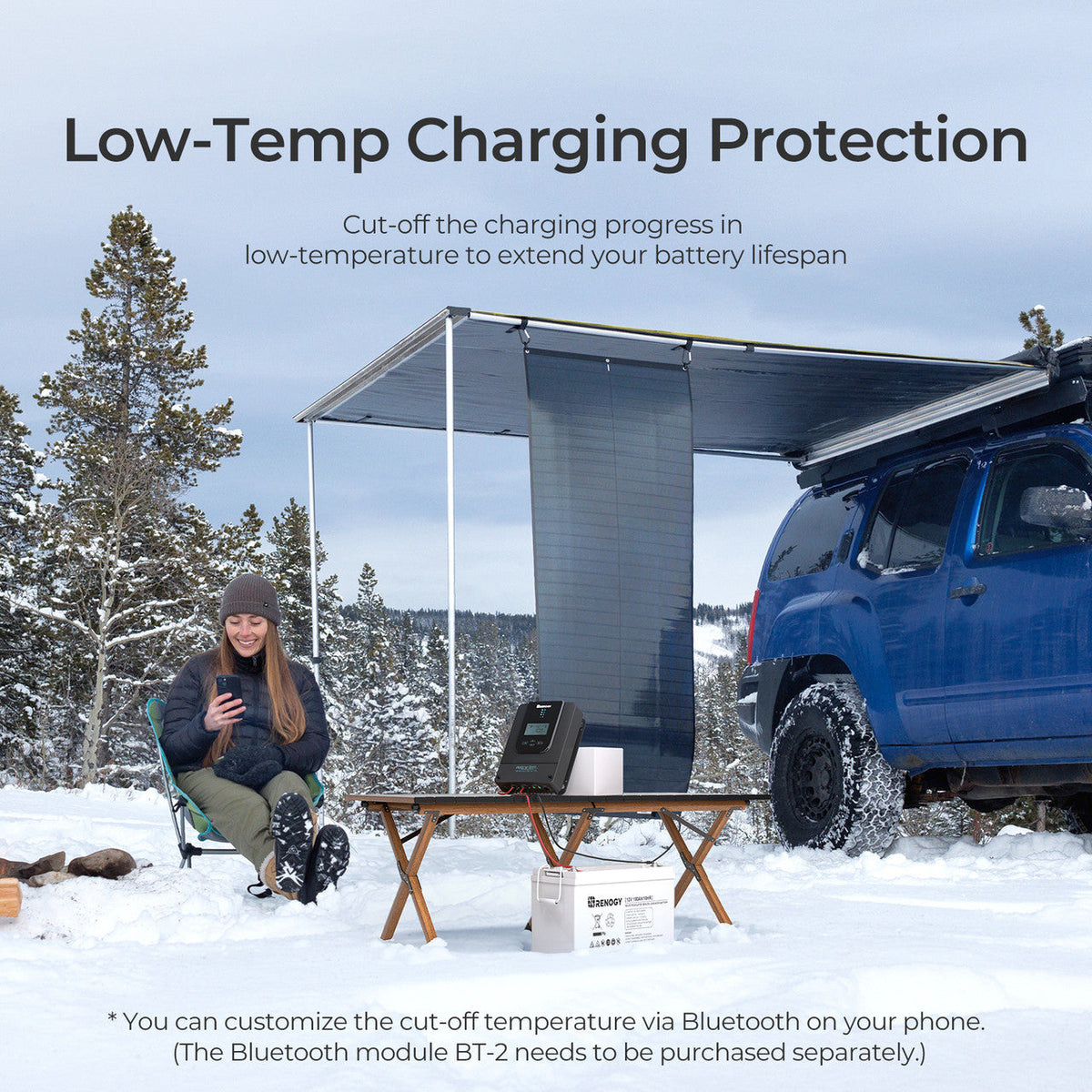 Renogy - 12/24/36/48V - 60A - Rover Li MPPT Solar Charge Controller