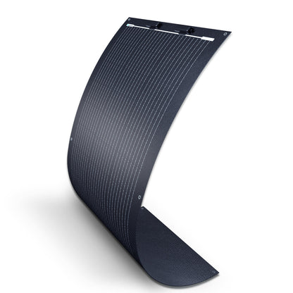 Renogy - 100W - Black Division Lightweight Monocrystalline Solar Panel