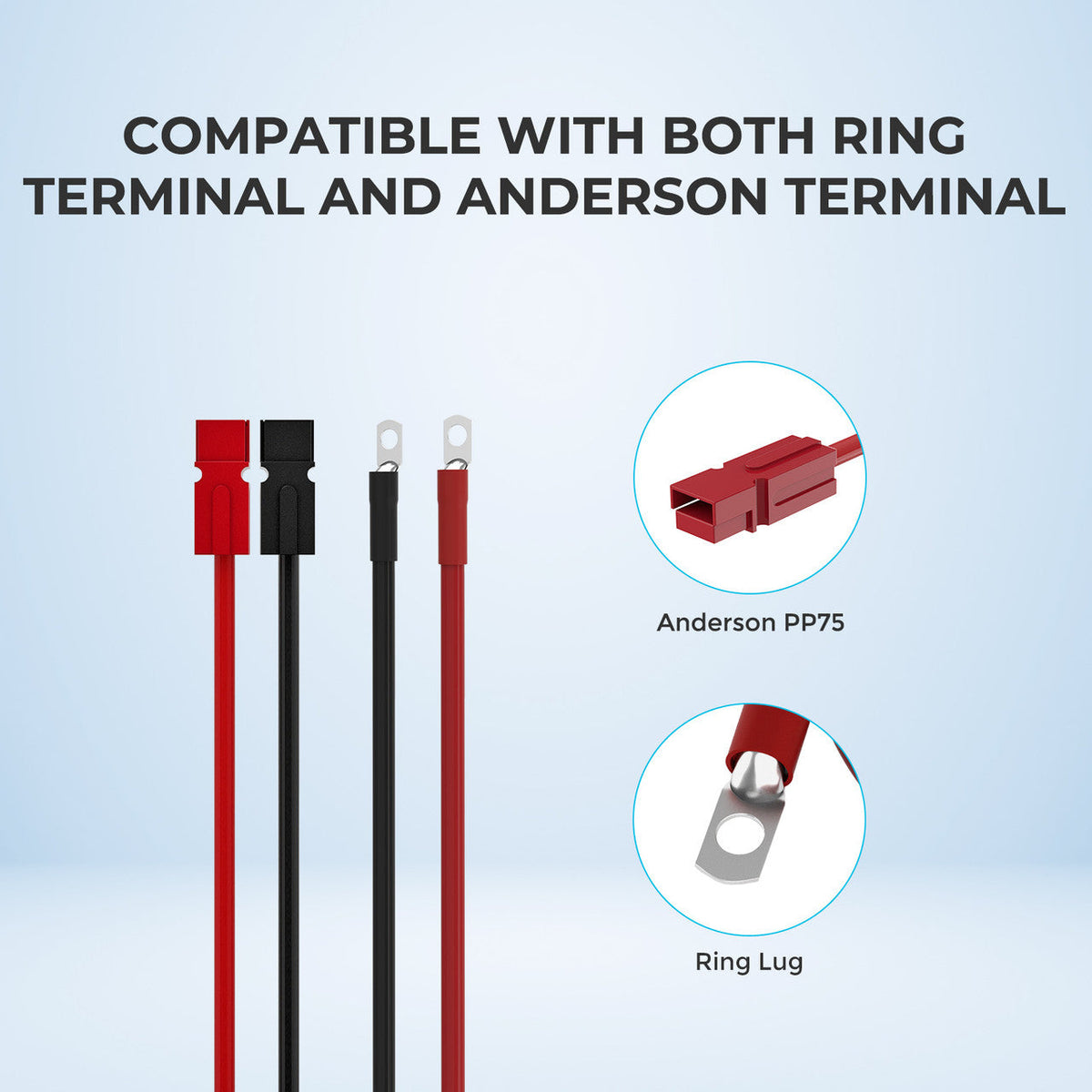 Renogy - 6AWG - 10ft - Anderson PP75 to Ring Lug Adapter Cable