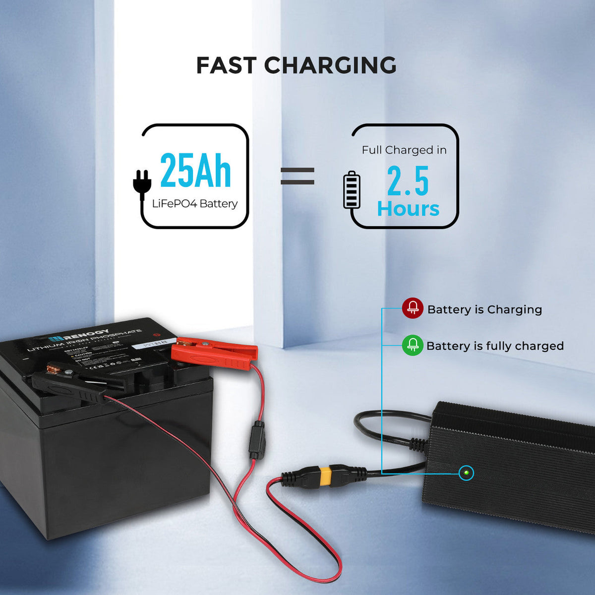 Renogy - 24V - 10A - Lithium Battery Charger