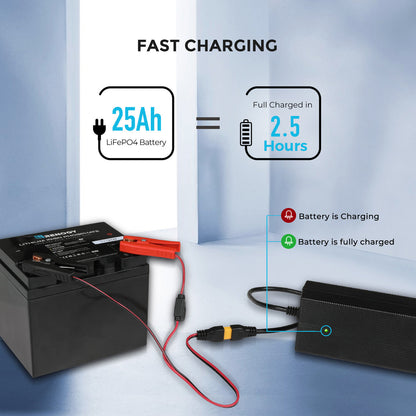 Renogy - 24V - 10A - Lithium Battery Charger