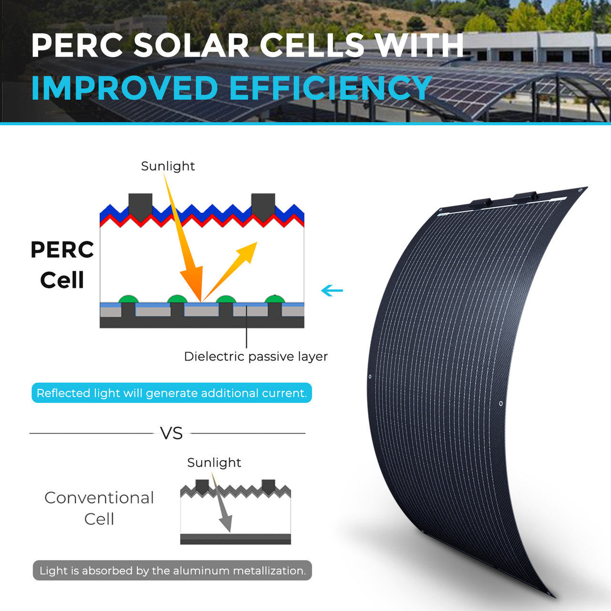 Renogy - 100W - Black Division Lightweight Monocrystalline Solar Panel