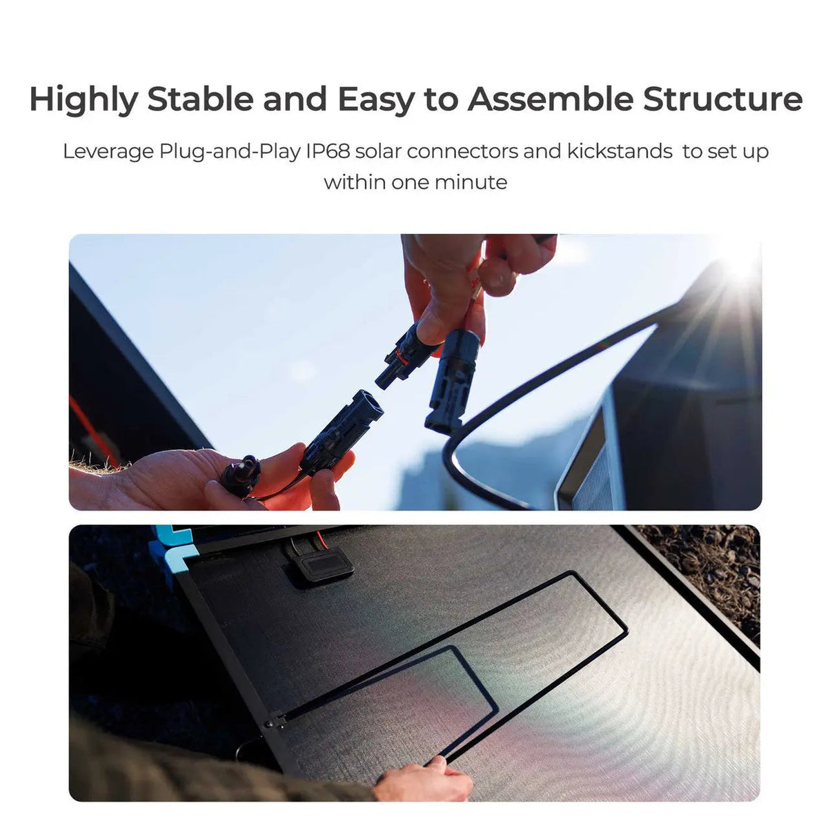 Renogy - 220W - Lightweight Portable Solar Suitcase