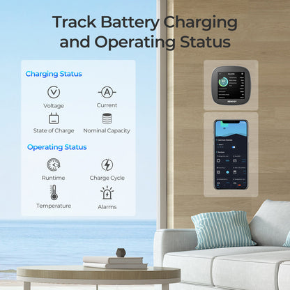 Renogy - 300A - Battery Shunt with Bluetooth