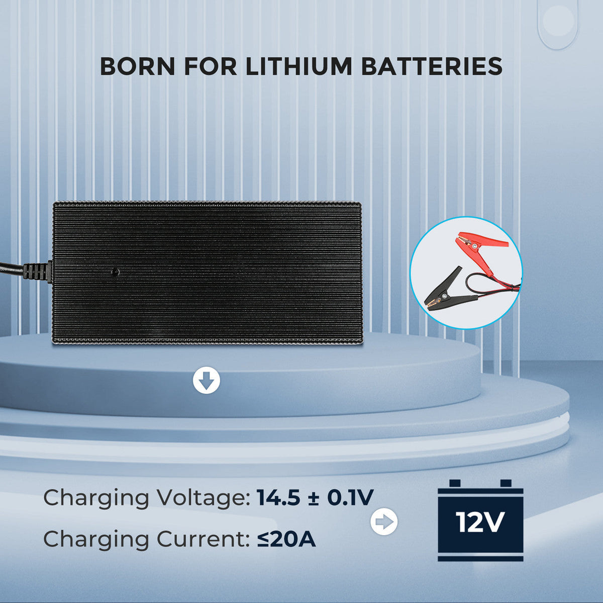 Renogy - 12V - 20A - Lithium Battery Charger