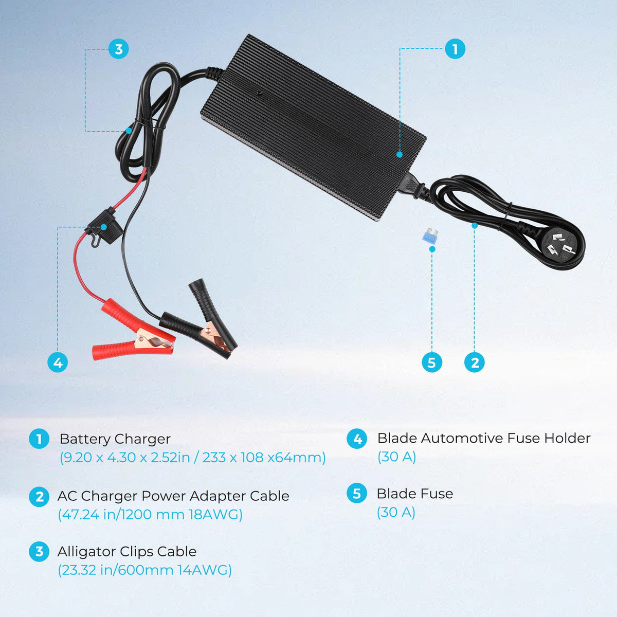 Renogy - 12V - 20A - Lithium Battery Charger