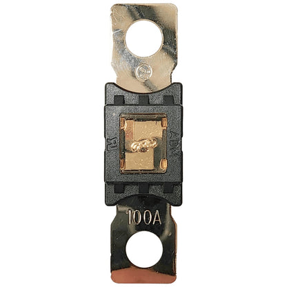 Exotronic - 100A - Mega/AMG/ANM Fuse