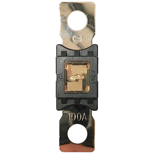 Exotronic - 100A - Mega/AMG/ANM Fuse
