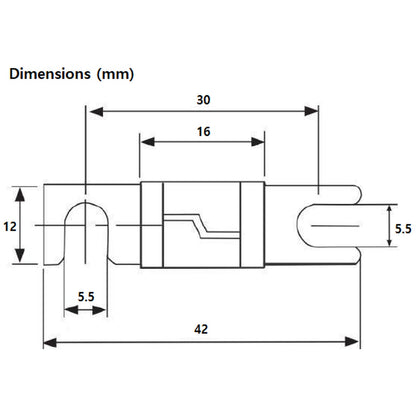 Exotronic - 70A - Midi/AMI/ANS Fuse