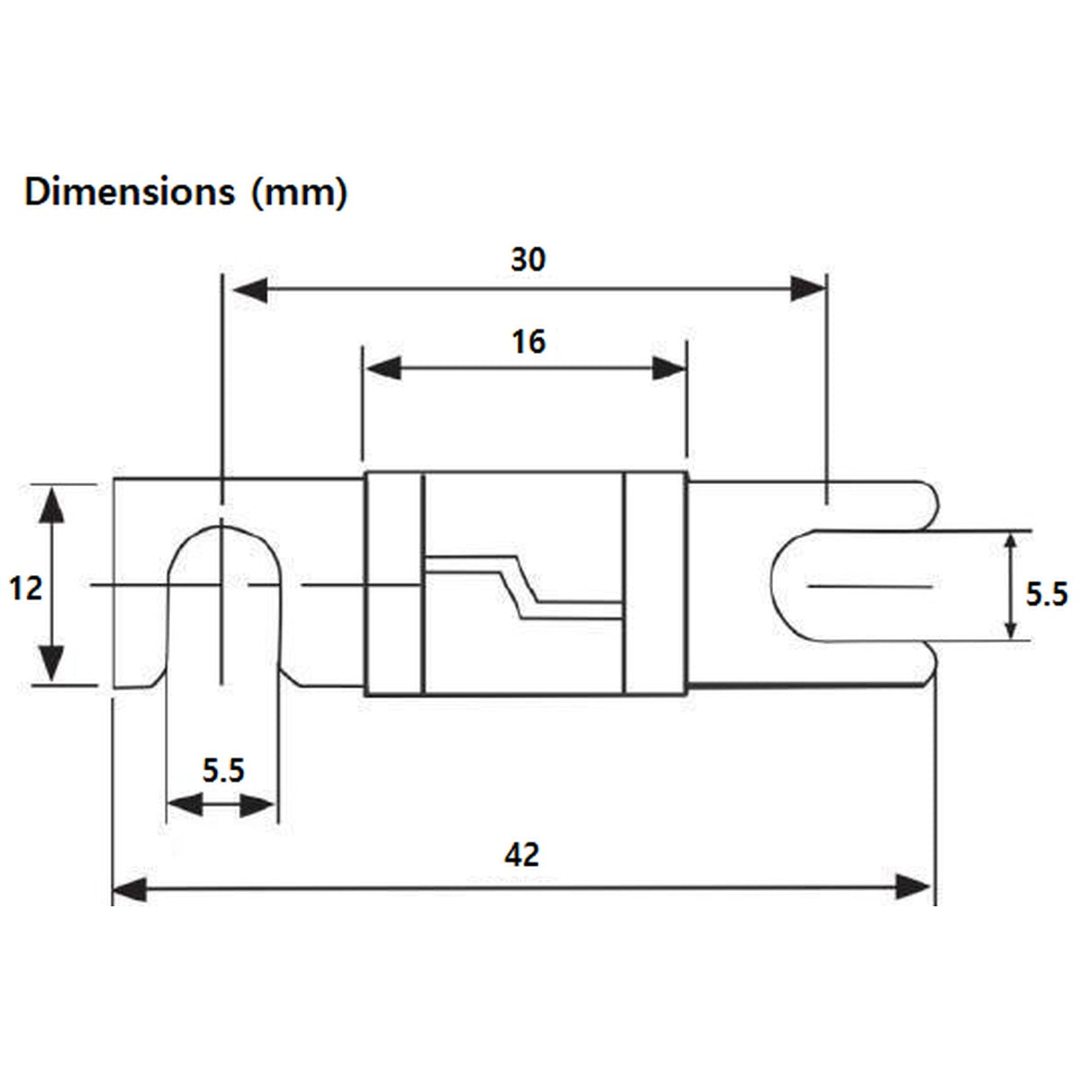 Exotronic - 80A - Midi/AMI/ANS Fuse