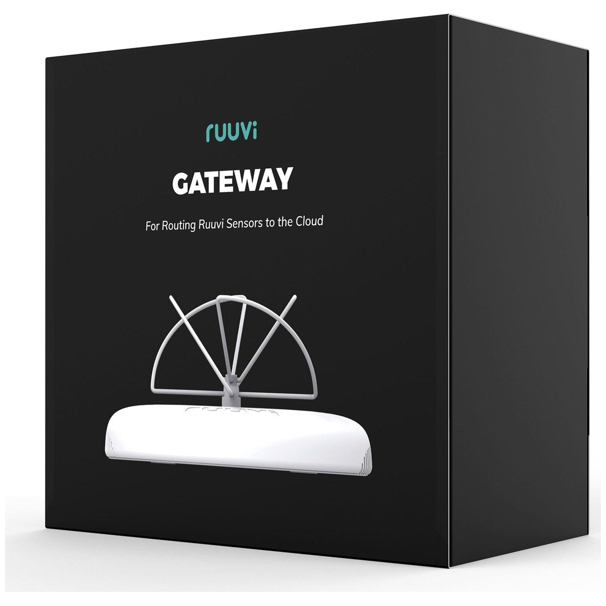 Ruuvi - Gateway Router