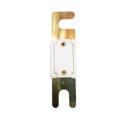 Exotronic - 100A - ANL Fuse (Pack of 5)