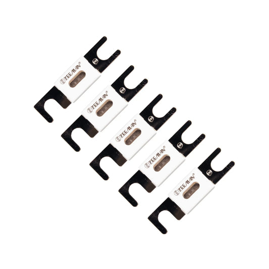 Victron Energy - 80V - 300A - ANL Fuse (Pack of 5)
